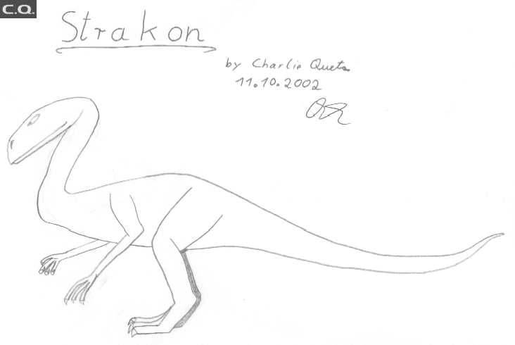 Strakon  by C.Q.